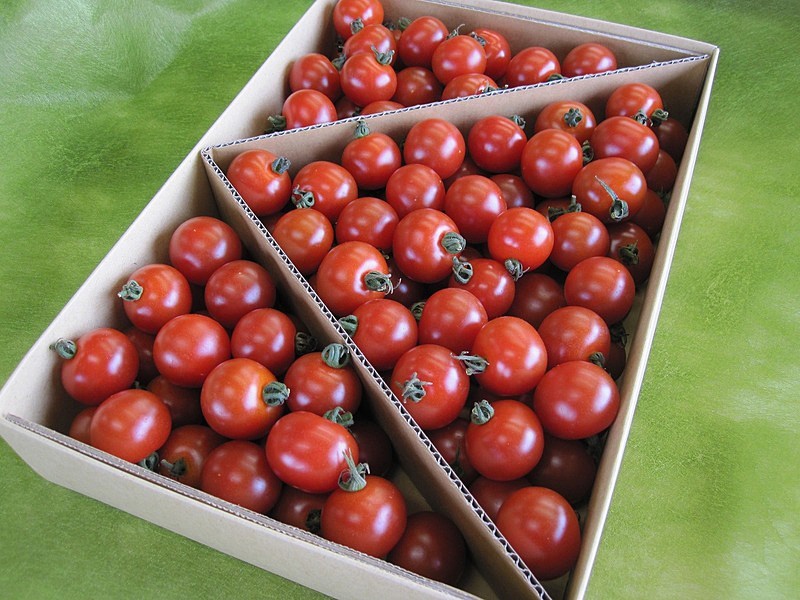 ギフト商品｜愛知県碧南市｜ミニトマト・トマトジュースの株式会社に