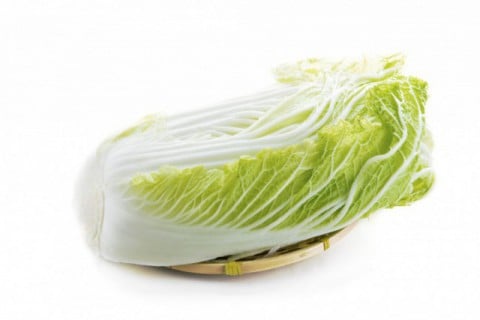 白菜 白菜